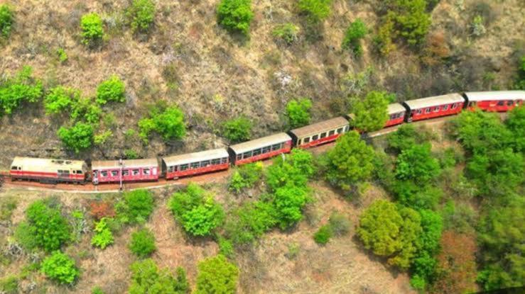 Mystic Forest View Kasauli I Serviced Villa I Best Seller I Vacations I Family Events I Open Air Lawn I Sky Bonfire I Kasauli By Exotic Stays Экстерьер фото