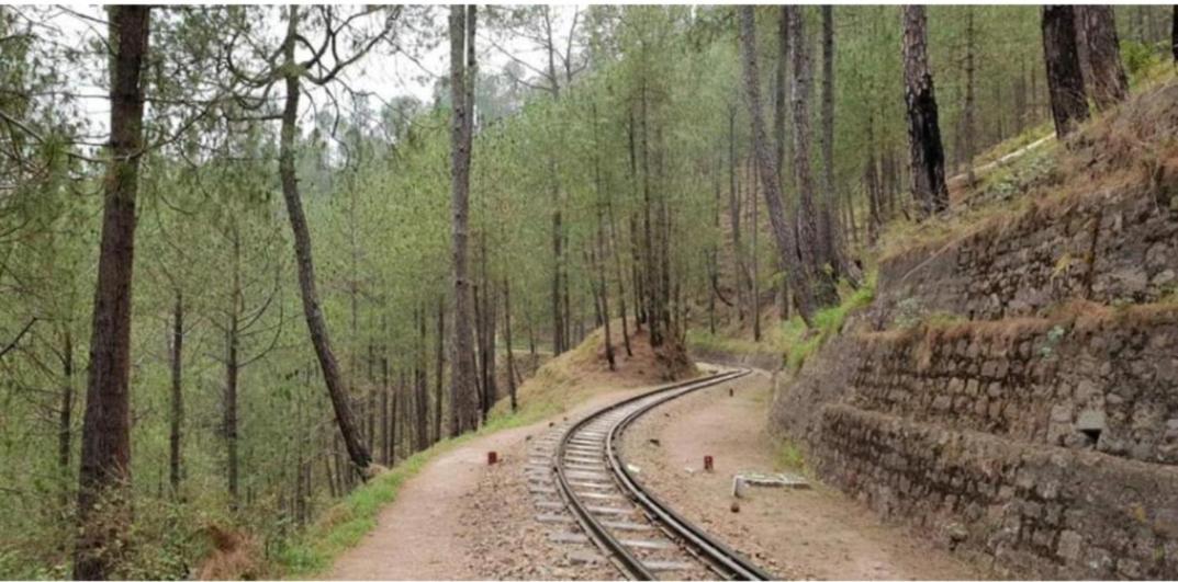 Mystic Forest View Kasauli I Serviced Villa I Best Seller I Vacations I Family Events I Open Air Lawn I Sky Bonfire I Kasauli By Exotic Stays Экстерьер фото