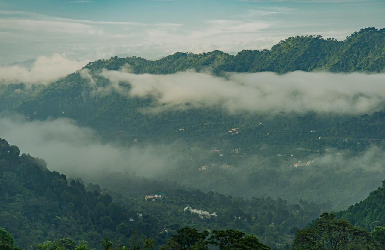 Mystic Forest View Kasauli I Serviced Villa I Best Seller I Vacations I Family Events I Open Air Lawn I Sky Bonfire I Kasauli By Exotic Stays Экстерьер фото